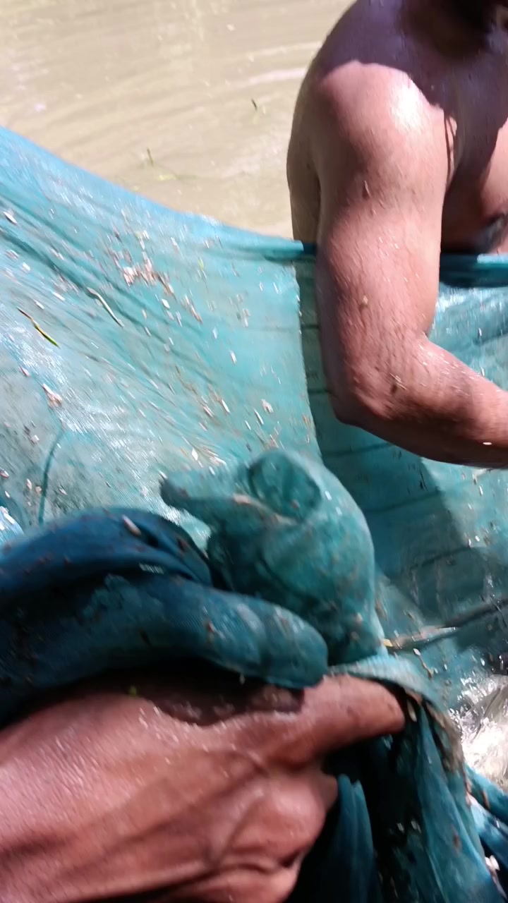 Kus fish farming