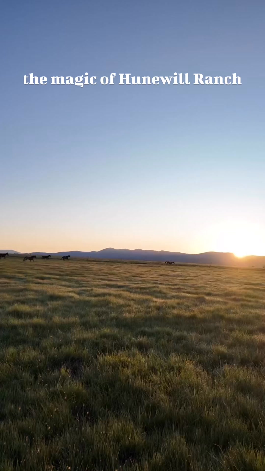 Hunewill Ranch on Reels | Facebook