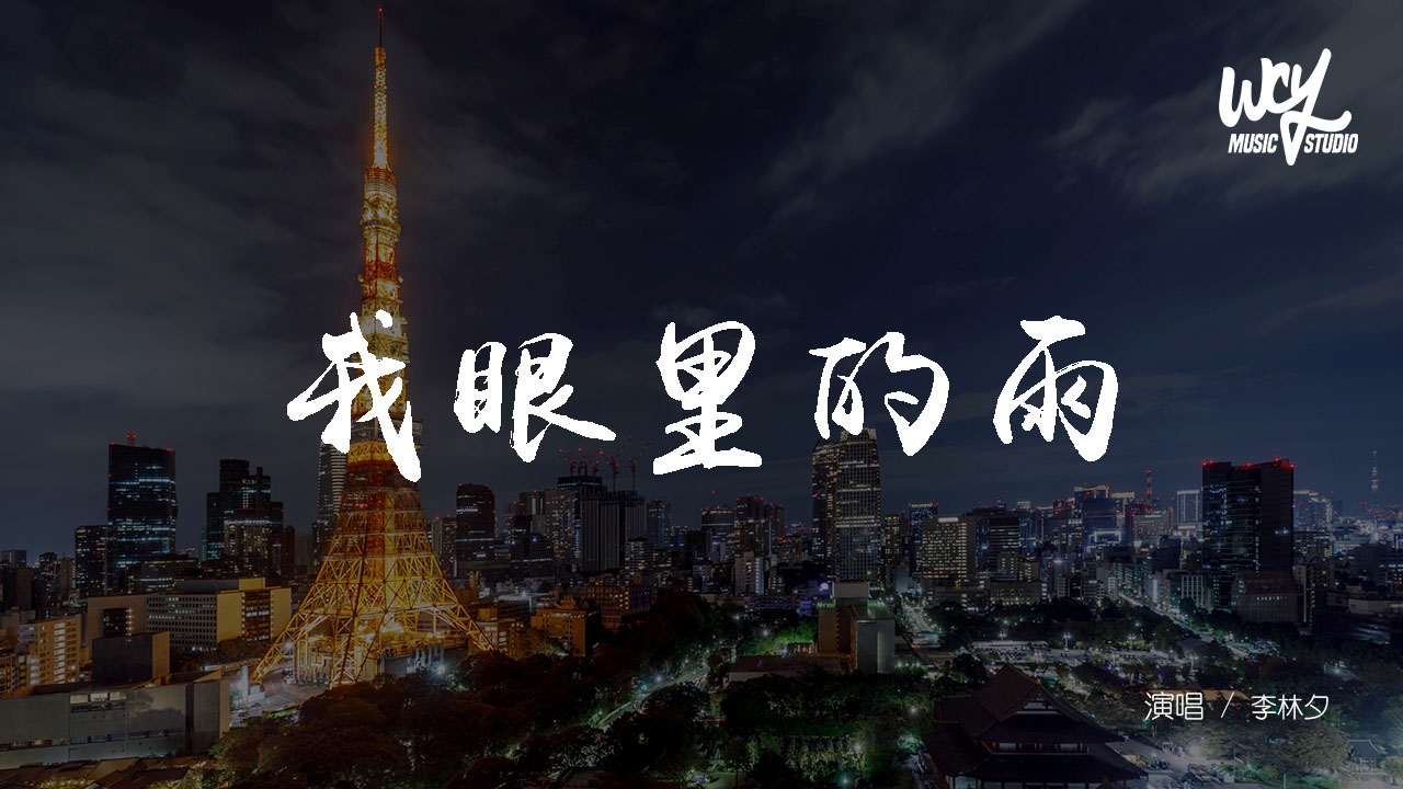 李林夕 - 我眼裡的雨「我眼裡的雨 已淋不到你，最愚蠢的年紀 遇到最愛的人」(可轉伴奏和人聲視頻)【動態歌詞/pīn yīn gē cí ...