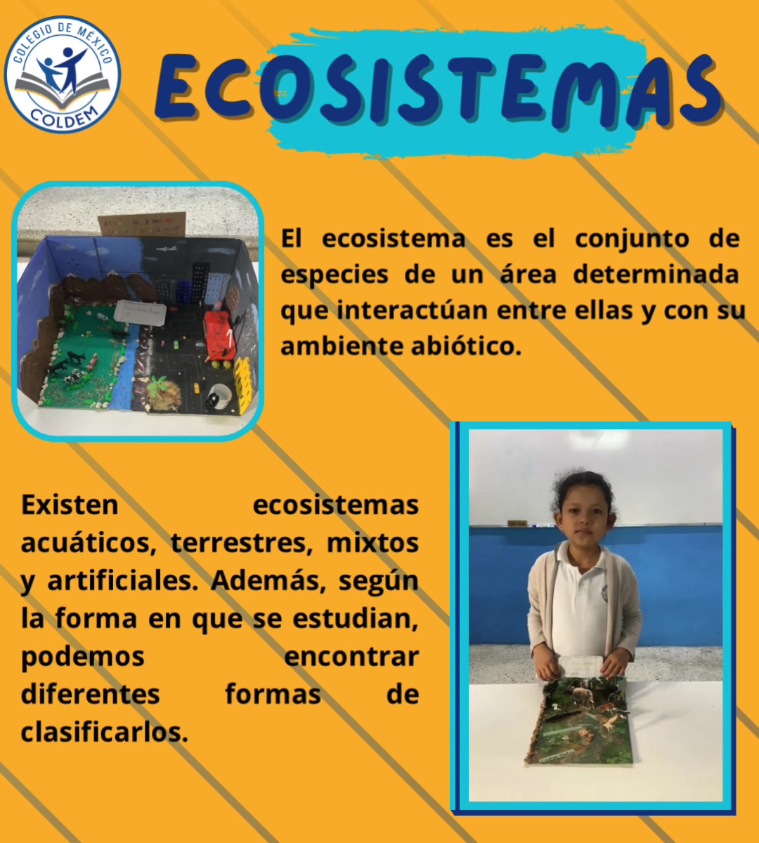 El ecosistema es el conjunto de especies de un área determinada que ...