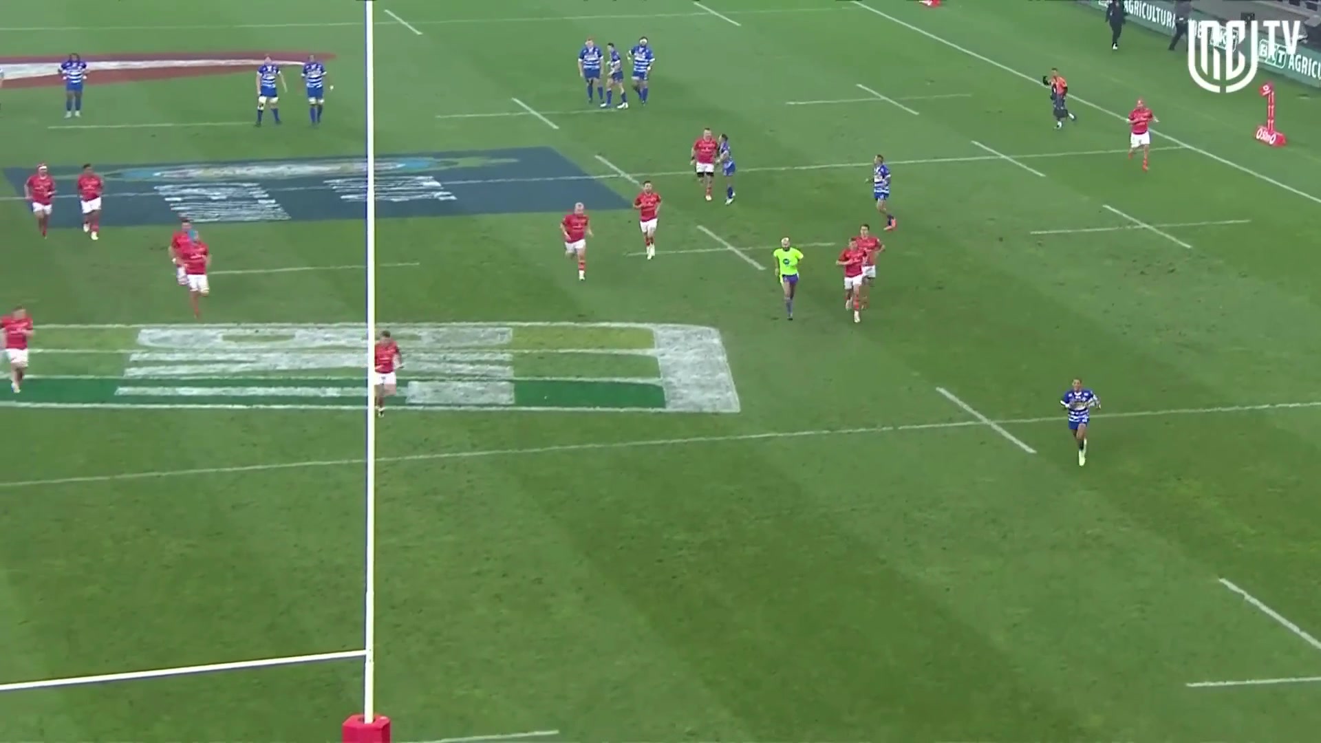 Blue Flamingo Rugby