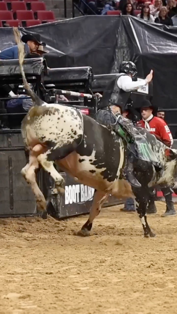 Jess Lockwood with an 83.50 point ride on Mystery (Clay Struve ...