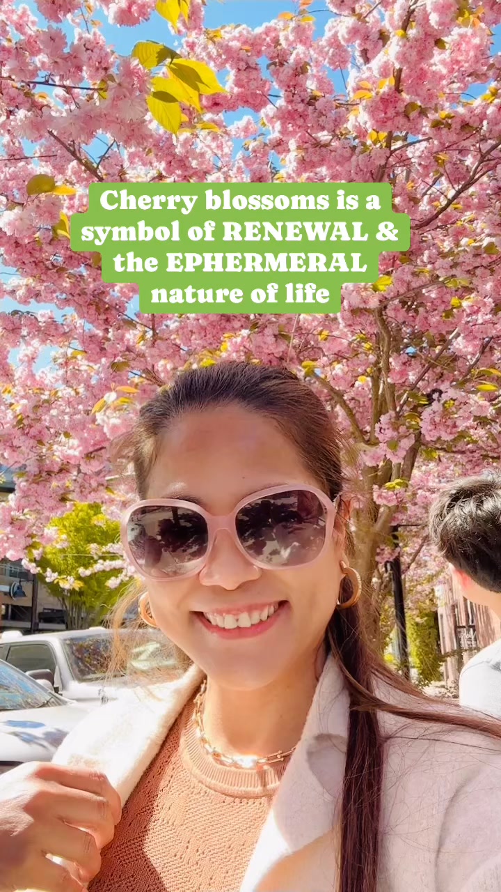 The beauty of this flower / Cherry blossom is remarkable . It ...