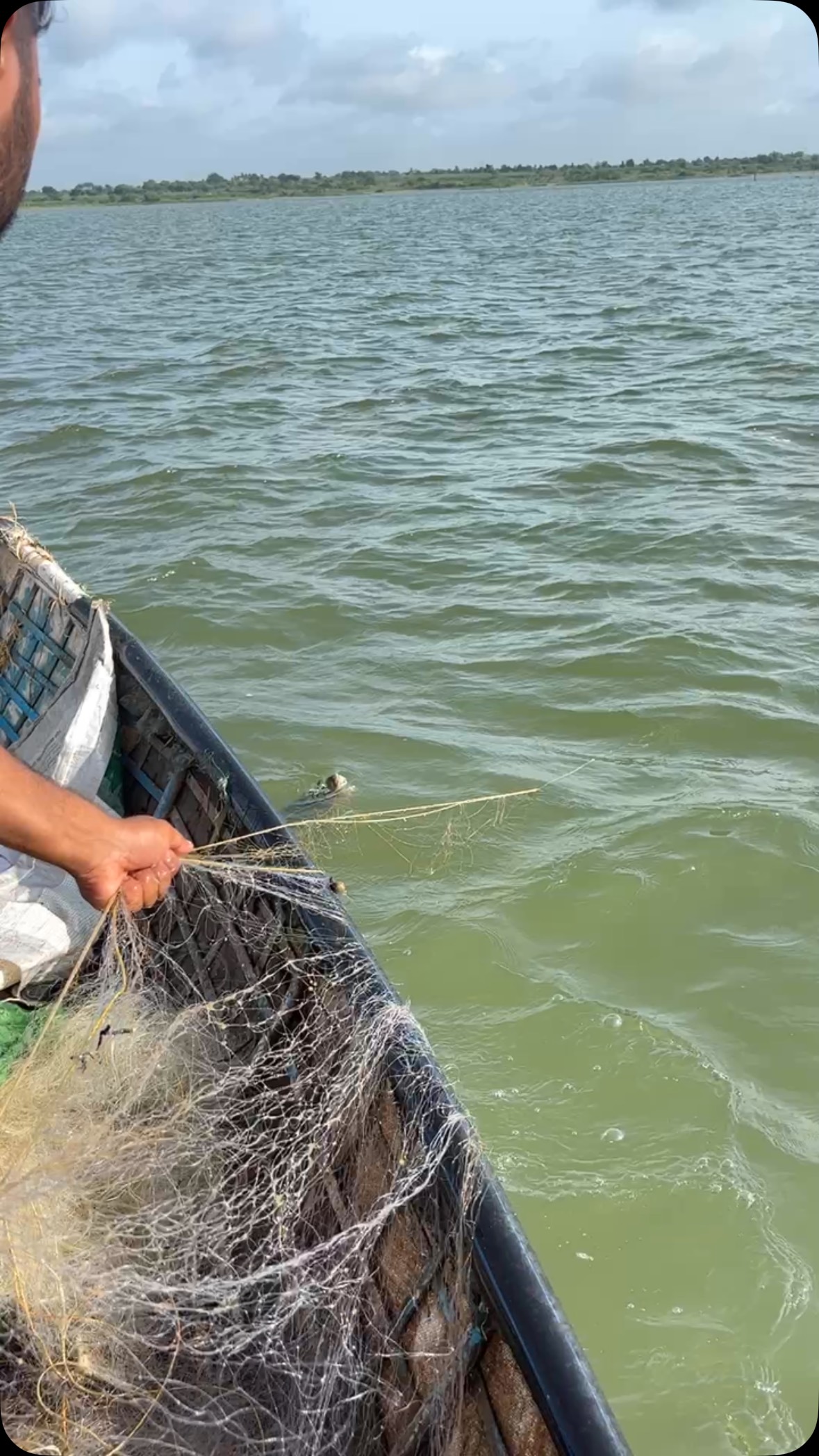 Awasome Fishing 🎣 #trending#fishing #fishinglife #rahulfishing # ...