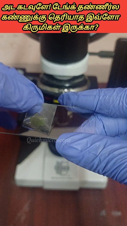 Let the lens of a microscope transport you to a world of wonder as you ...