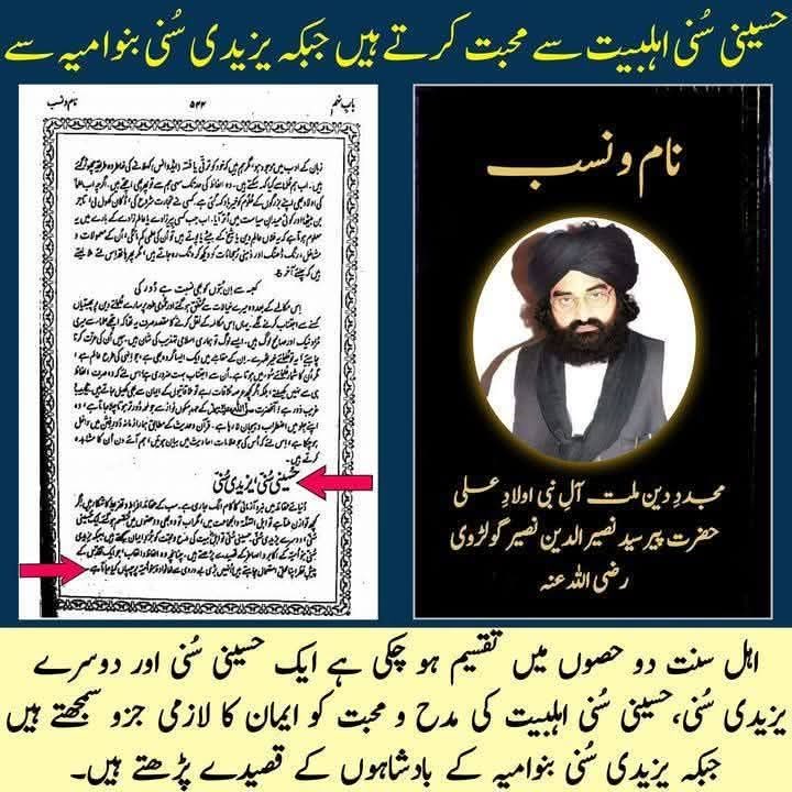 میں تو الحمداللہ حسینی سنی ہوں آپ کون ہیں ؟ | Ali Shafa | Facebook