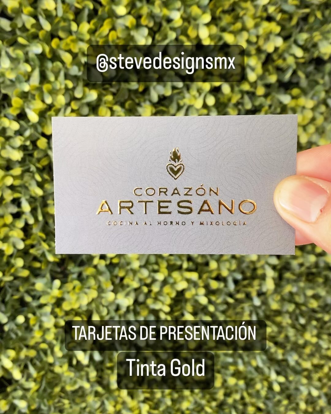 Steve Designs