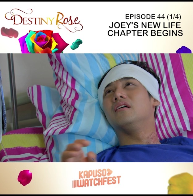 Destiny Rose: Episode 44 (Part 1 of 4) | student, woman, writer ...