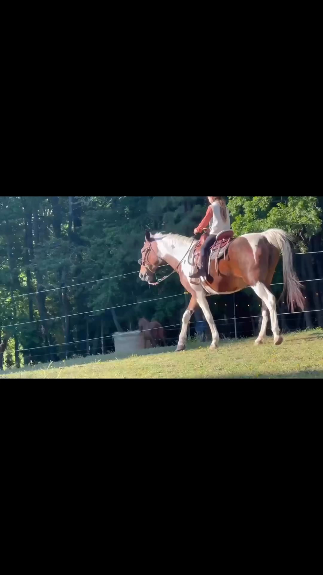 Woody’s Second Chance Ranch on Reels | Facebook
