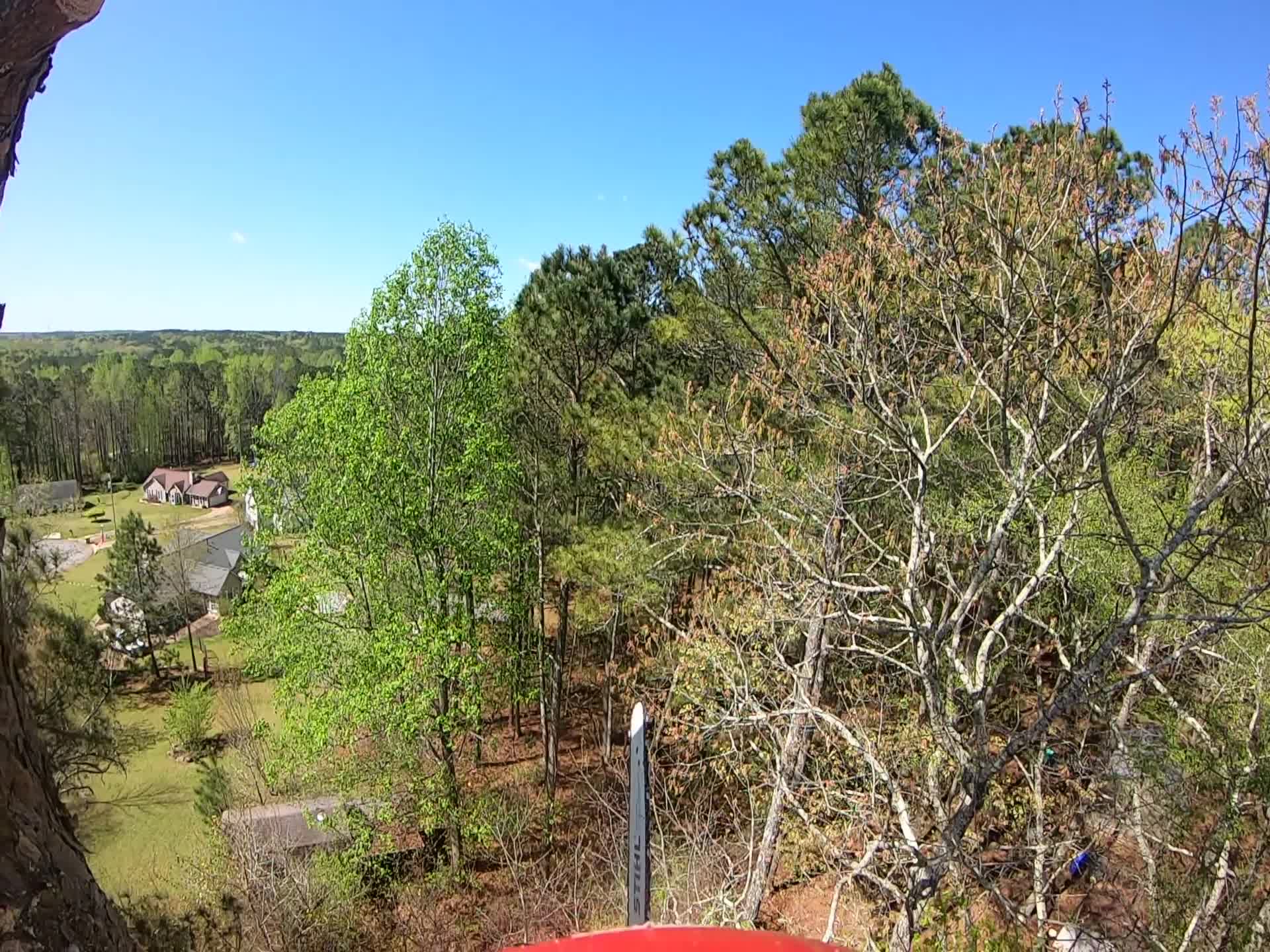 Veteran Tree Service