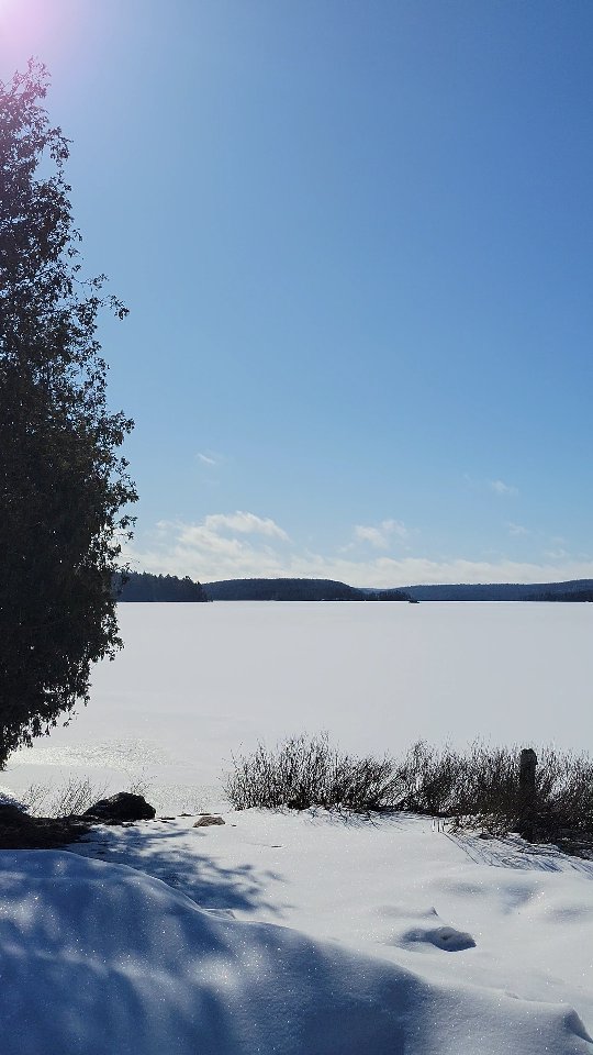 March 27, 2025 Algonquin Park Ice Report 🧊 🛶 Cache Lake - 🧊 Smoke Lake ...