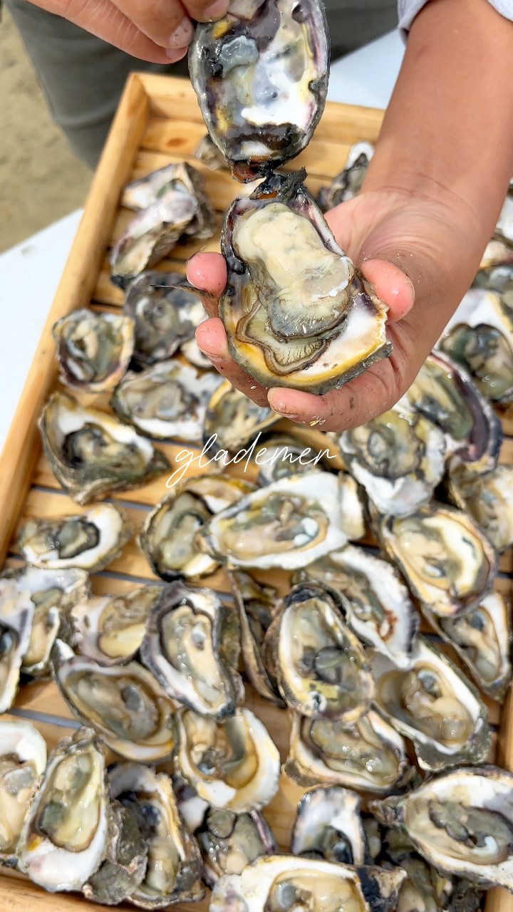 Talaba #FYI | Glademer Adaron | Facebook