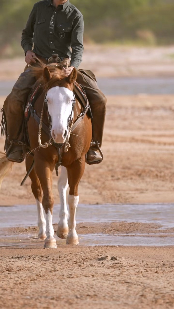 Last Frontier Ranch LLC | Petrolia TX