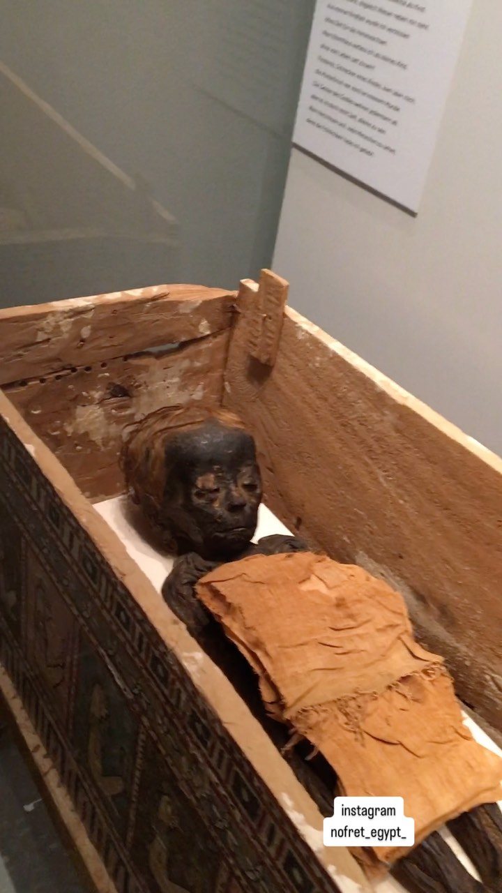 Ancient Egypt!! Mysterious crypt underneath the sanctuary - the secret ...