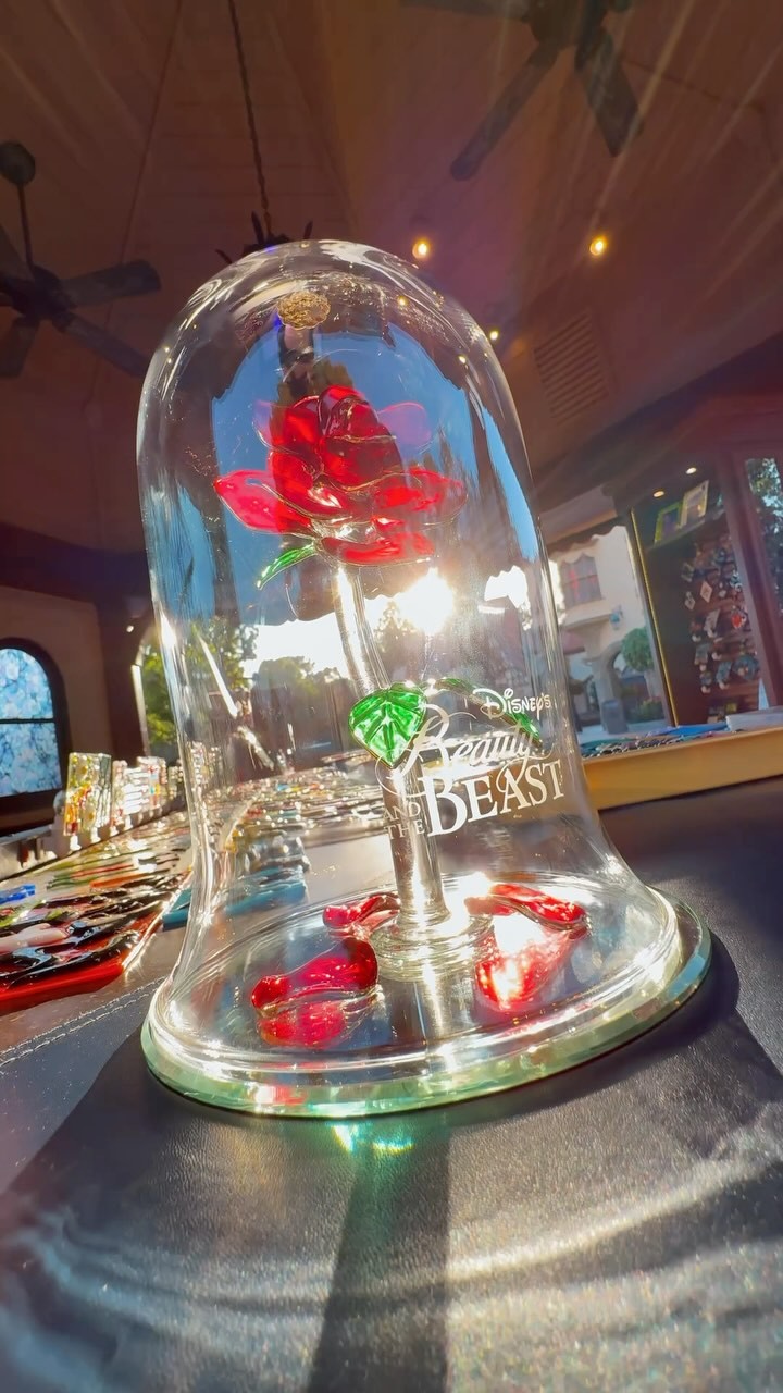 A tale as old as time… beautifully captured. The Enchanted Rose by
