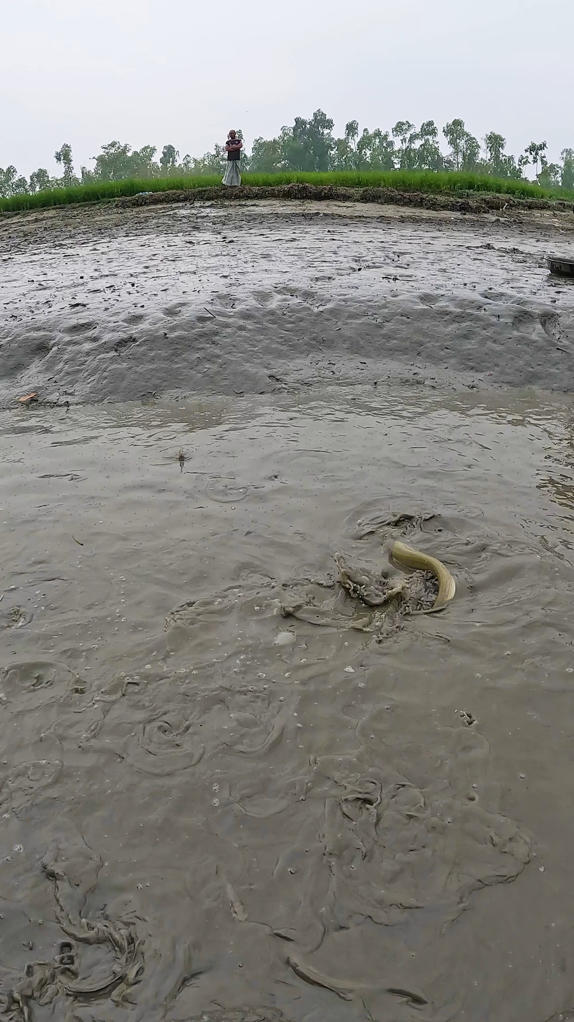 Amazing Muddy Water Fishing Video During Dry Season #fishing #fish # ...