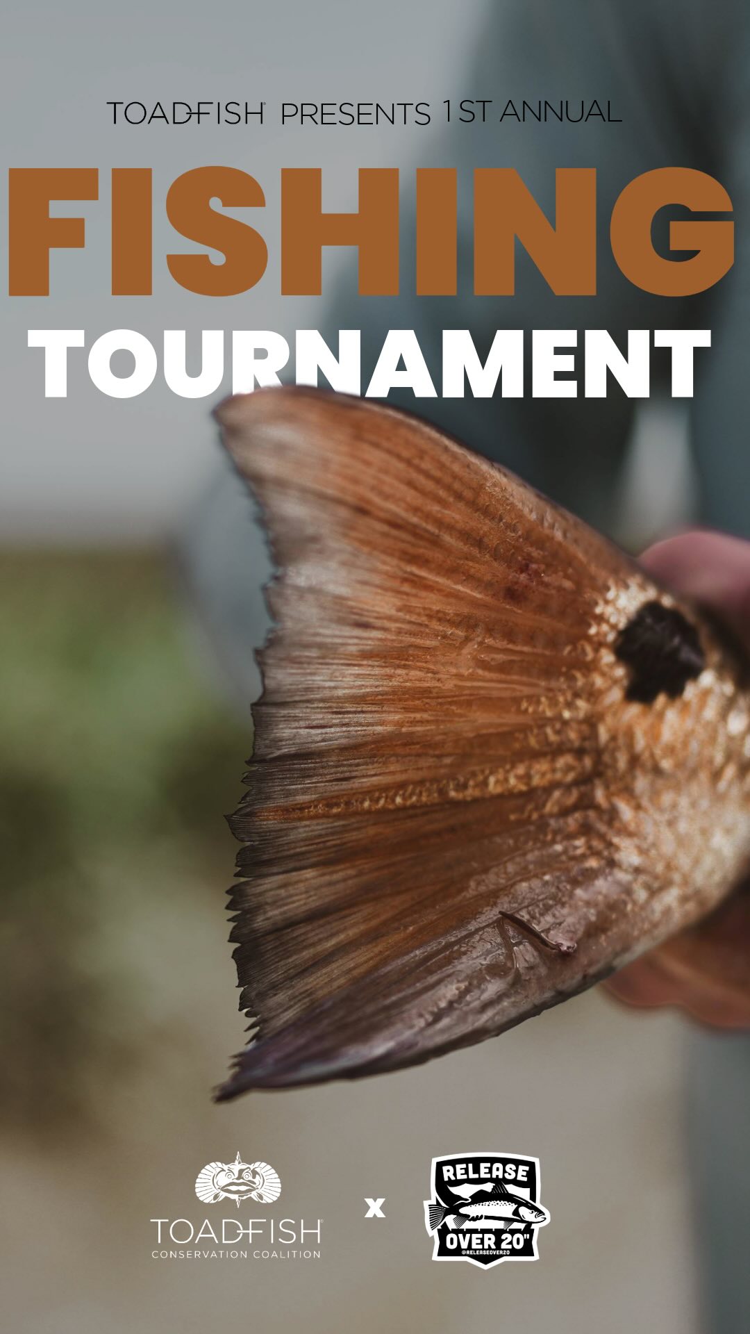 Toadfish | Charleston SC