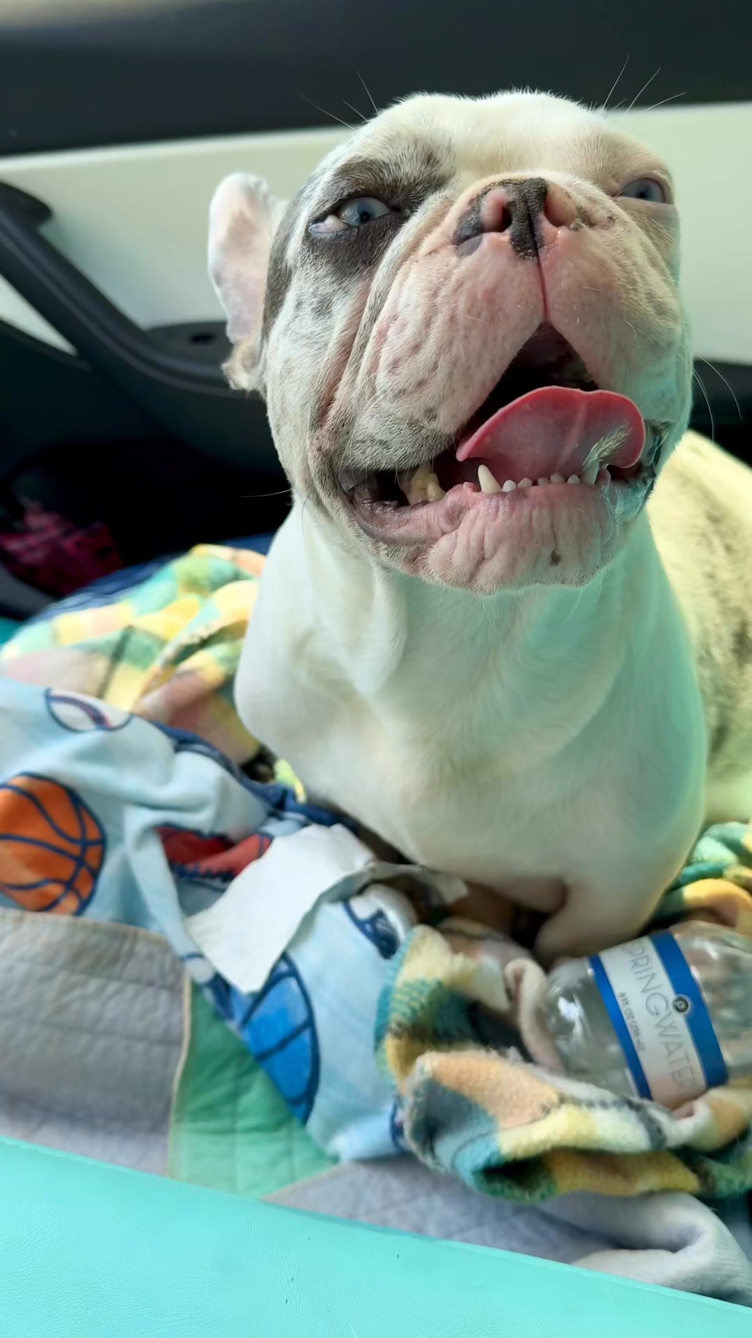 Pynki will become a 1st time Mom in a few hours!😍🙏🥰 ️🫶 | Florida’s ...