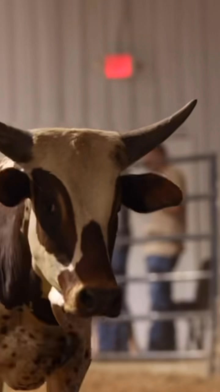Nate Morrison - Kyle Lippincott’s Rafter KL Bucking Bulls... | Facebook