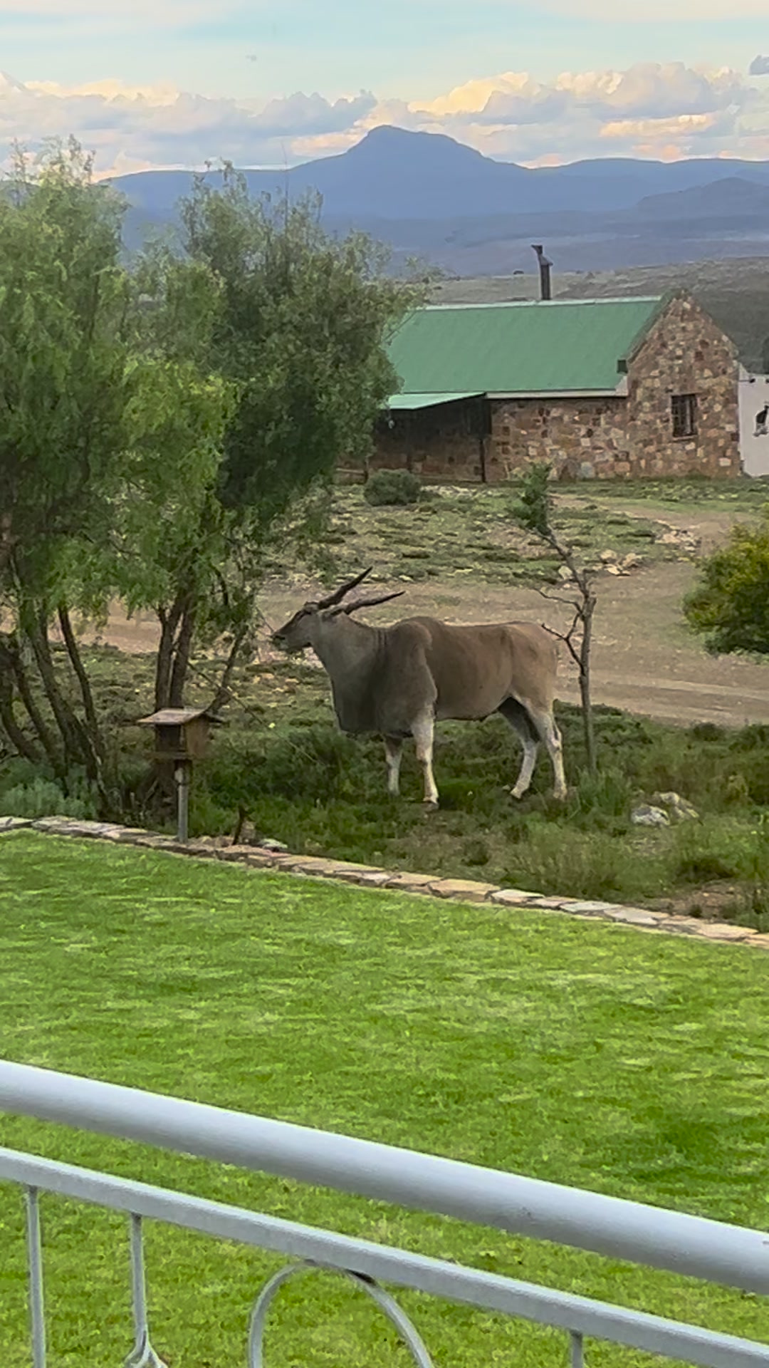 De Rust Game Farm | Graaff-Reinet