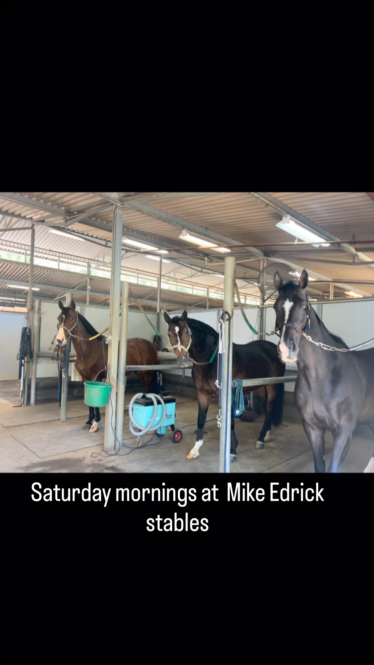 Mike Edrick Stables | Agoura Hills CA