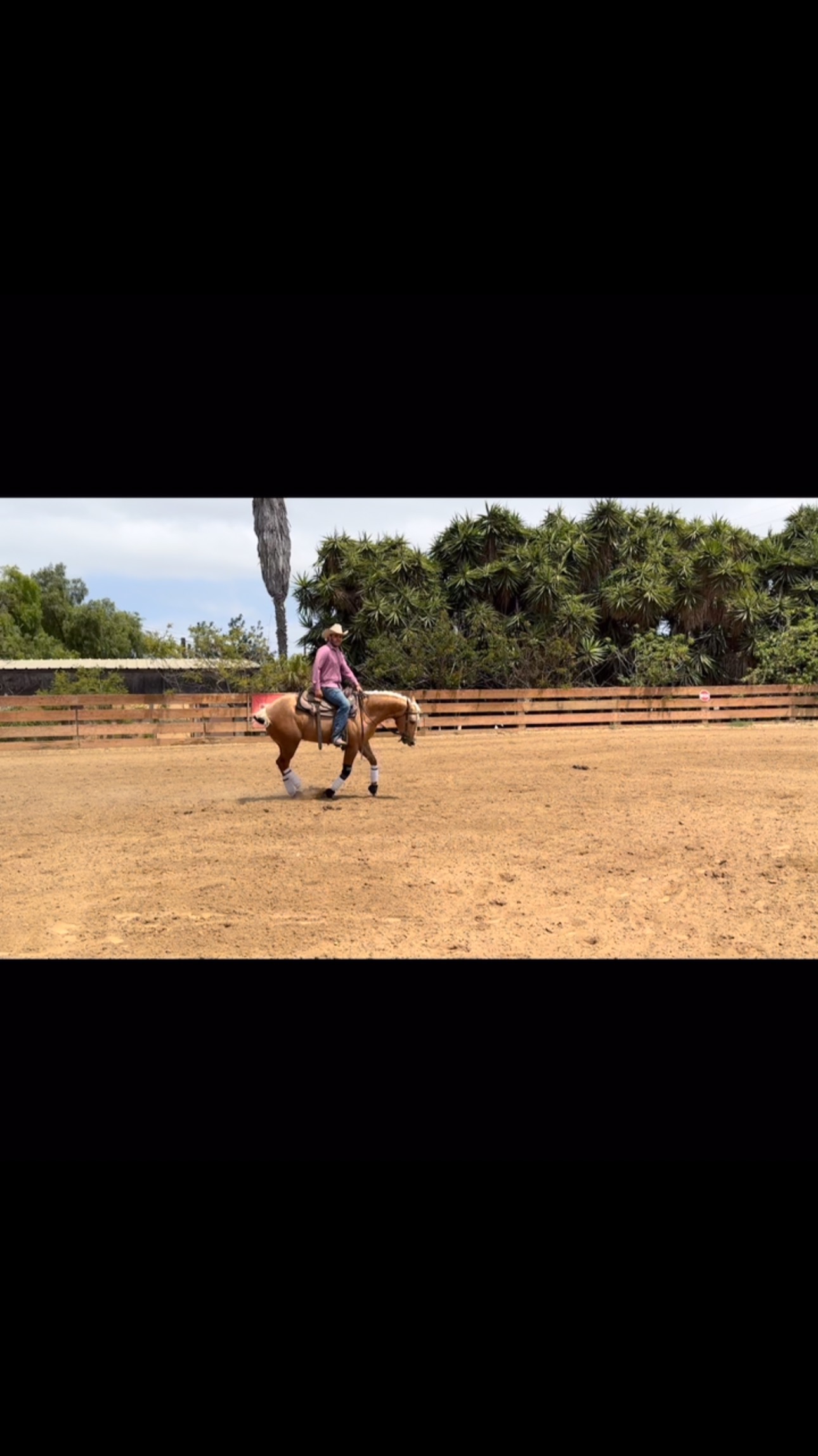 Rancho Los Amigos | San Diego CA