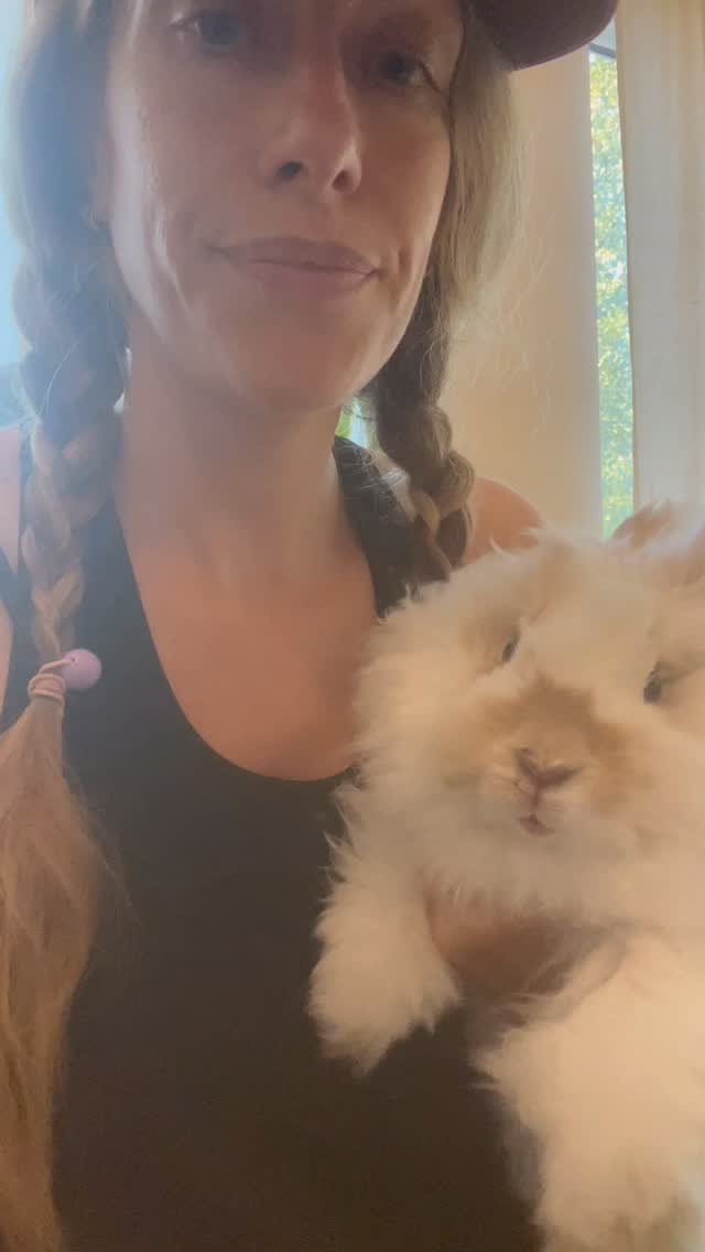 #angorarabbit #bunnylebowski #bunnyloversofinstagram #thebiglebunski # ...