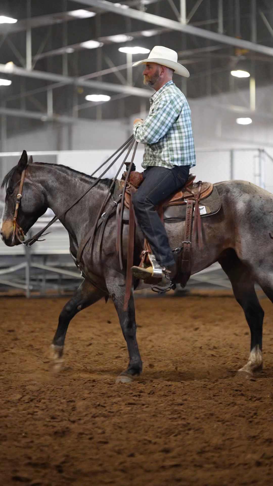 𝐇𝐈𝐆𝐇 𝐒𝐄𝐋𝐋𝐄𝐑 // $𝟕𝟑,𝟓𝟎𝟎 For the second year in a row Wilson Cattle Co ...