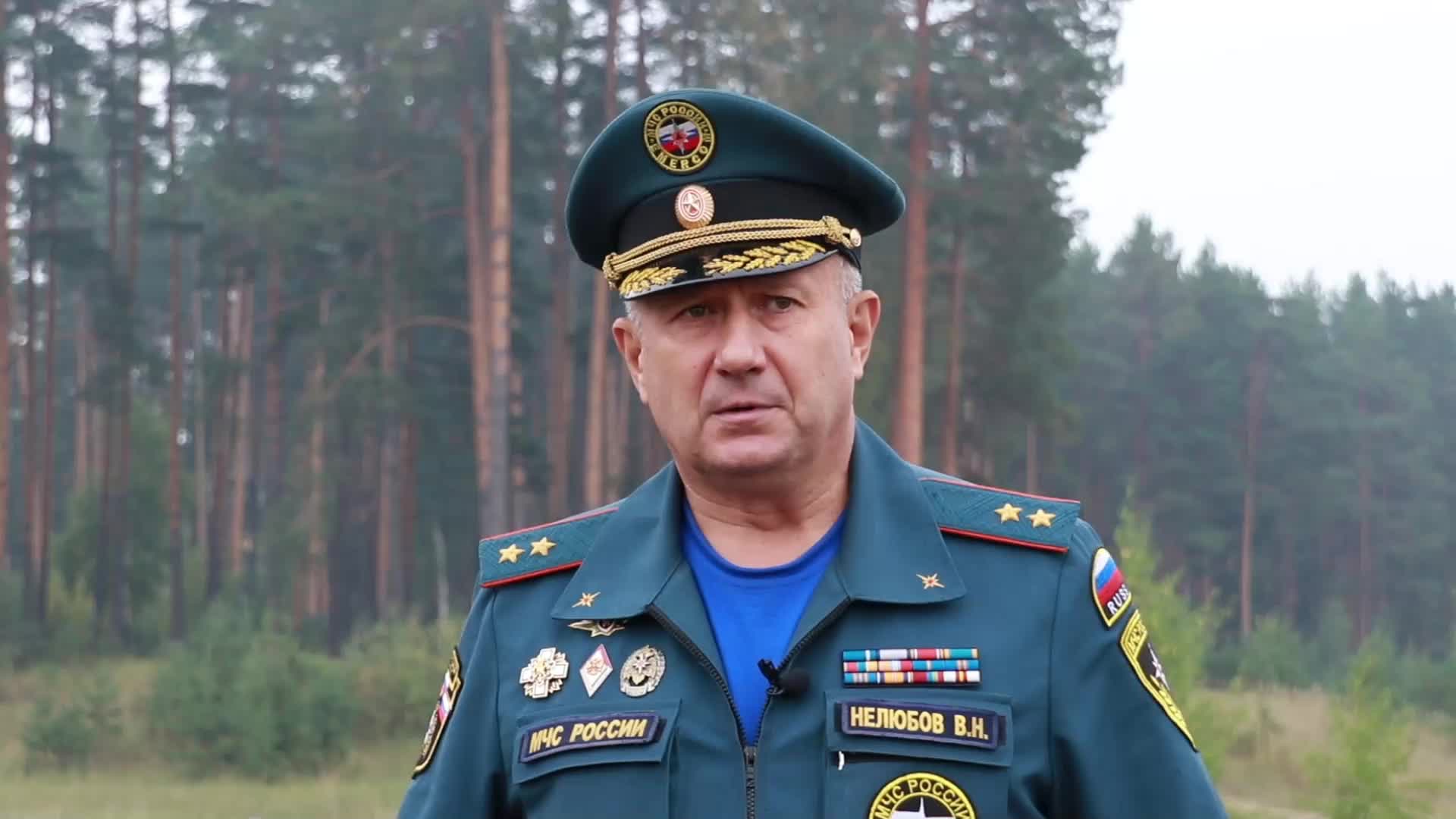 Главное управление пожарной охраны. Генерал Нелюбов МЧС. Валентин Нелюбов МЧС. Нелюбов МЧС России начальник ГУПО. Нелюбов Валентин Николаевич МЧС