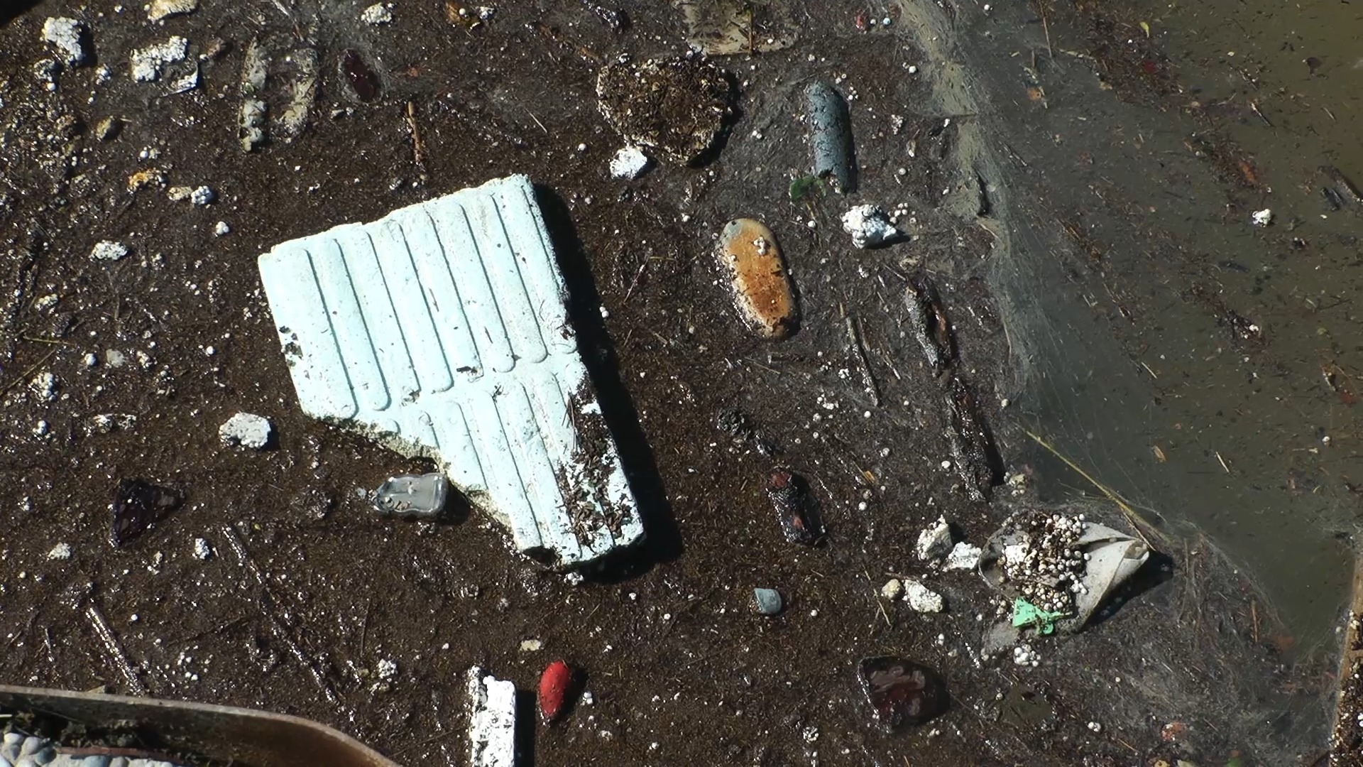 #NowYouKnow: Water Pollution in Belize. This video looks at the sources ...