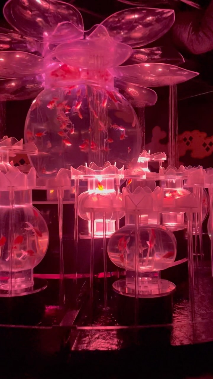 Art Aquarium Museum! | Yellow Productions Travel Guides
