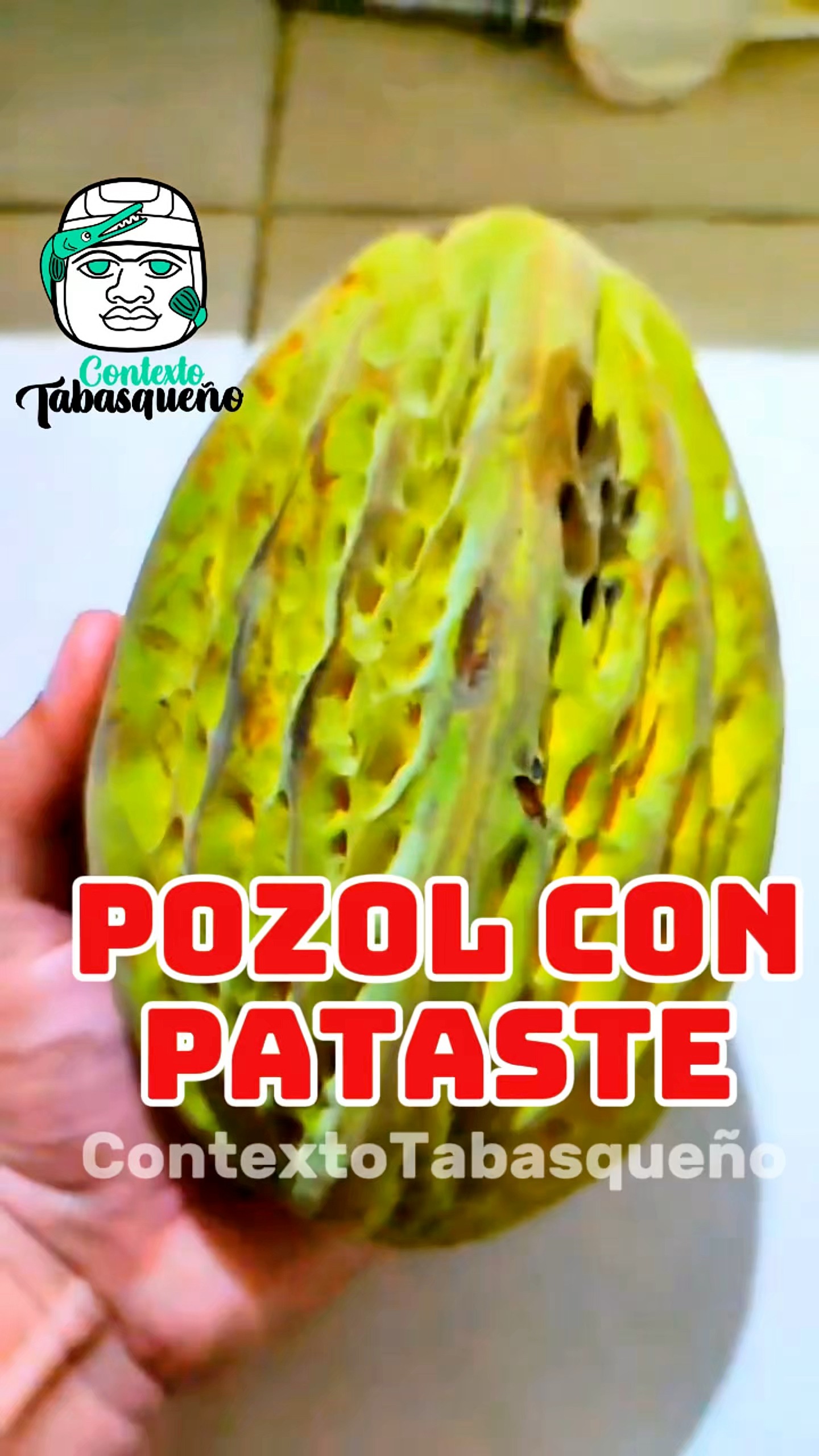 Mi cocina Tabasqueña
