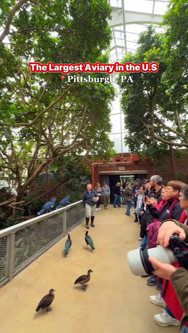 The largest Aviary in the U.S 🦜 National Aviary 📍 Pittsburgh, PA – Home ...