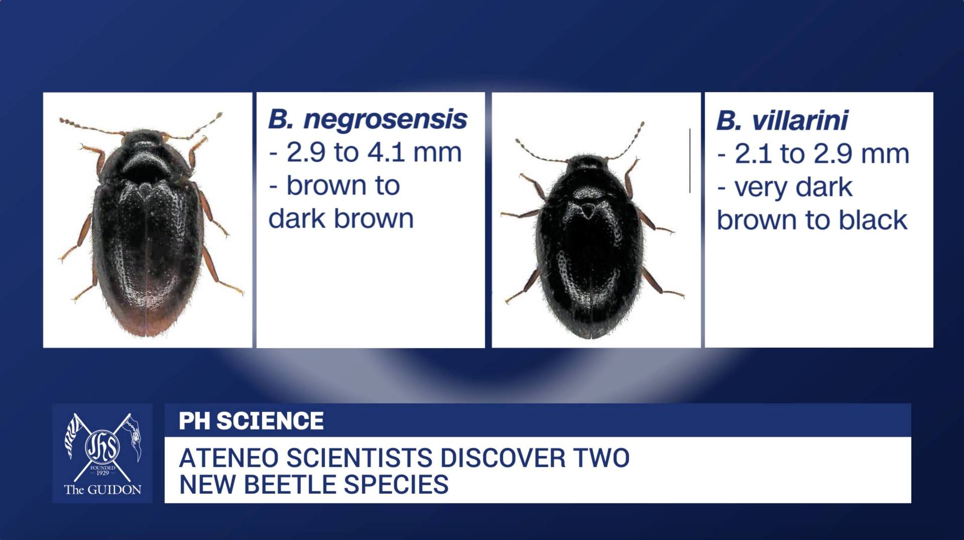 Ateneo scientists discover two new species of beetles | scientist ...