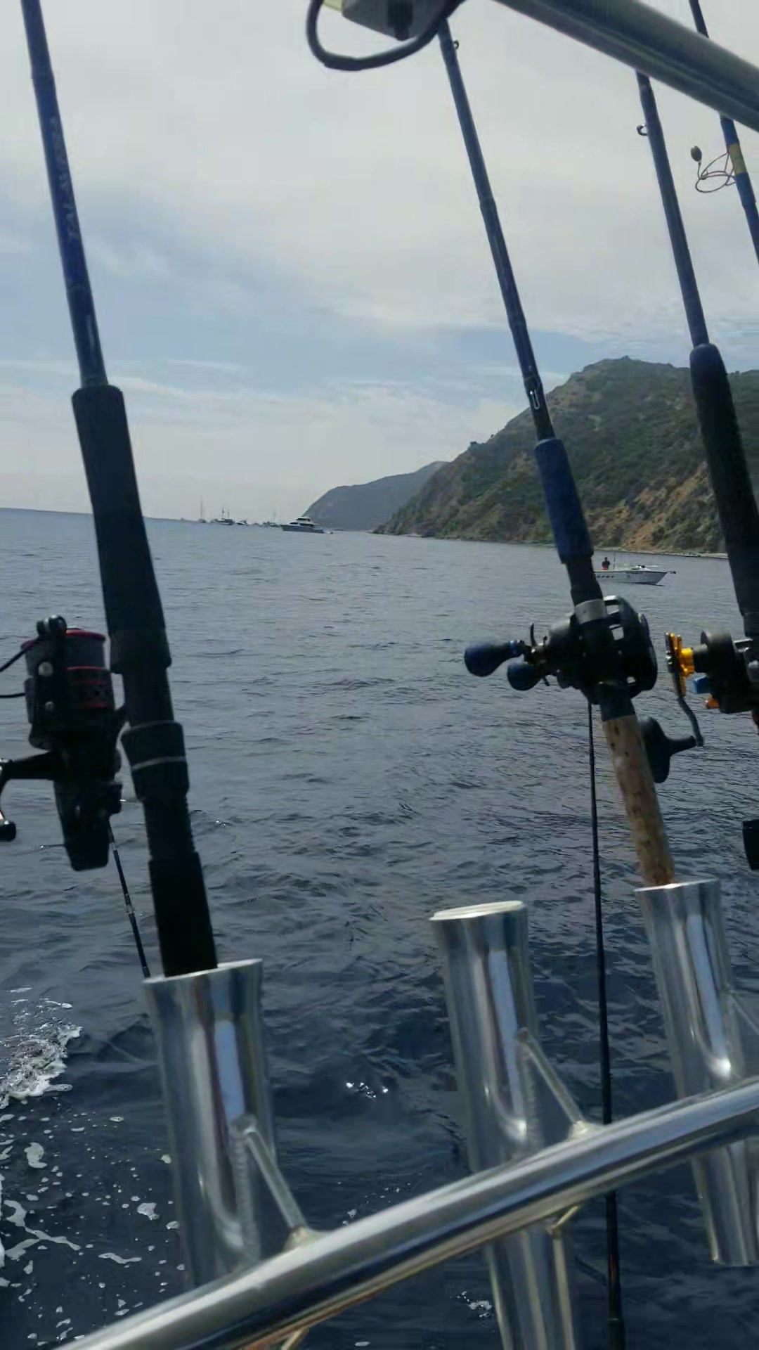okuma ceymar c 40 cena A Spinning Reels Rapala F-9 Original Floating Fish Head Spin Color:Albino lure ii feelfree