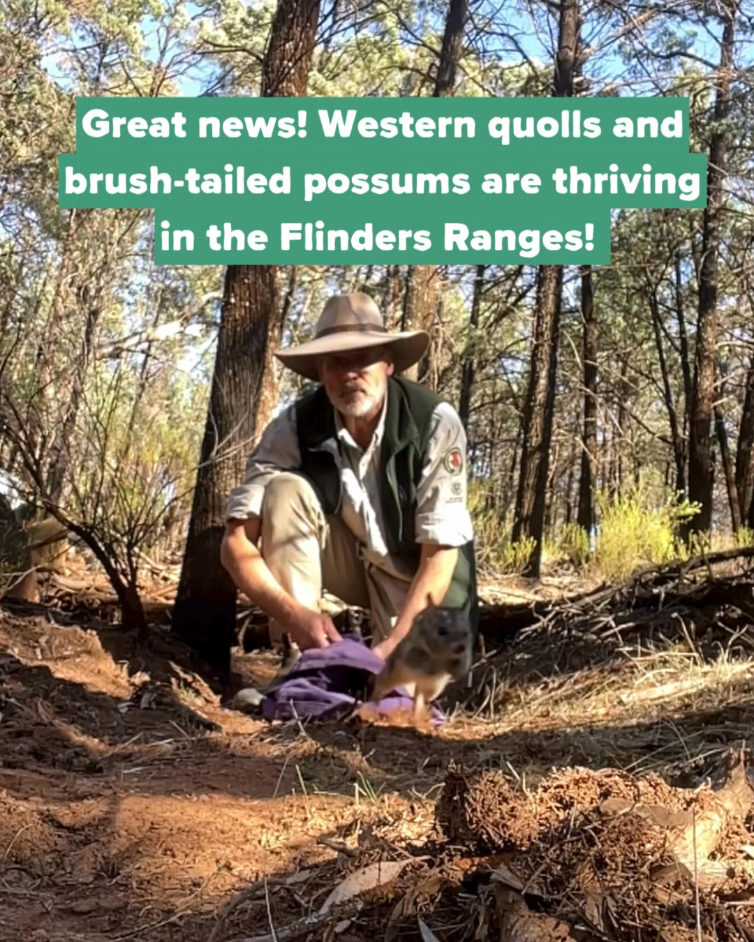 We have some great news this #wildlifewednesday! More than a decade ...