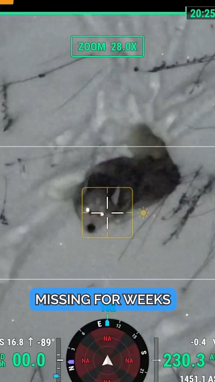 Drone Animal Rescue Stories Are Almost Here! 🚁🐾 Subscribe to our ...