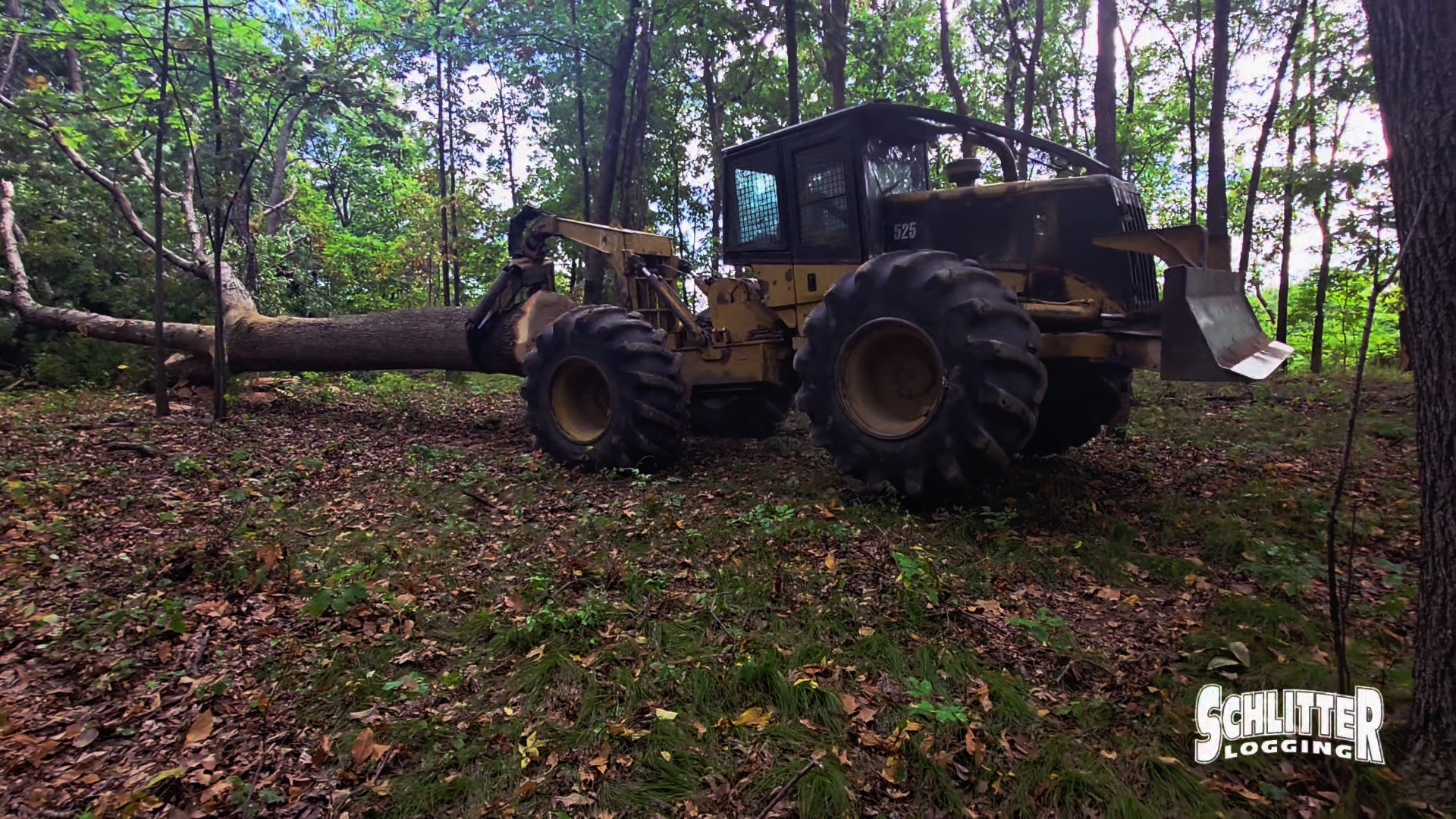 Big Tree Big Top #schlitter #schlitterlogging #family #business # ...