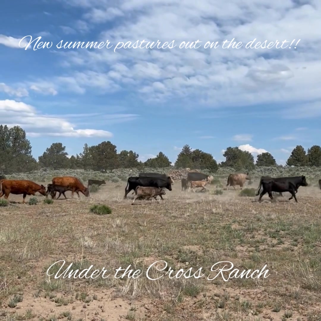 Under the Cross Ranch