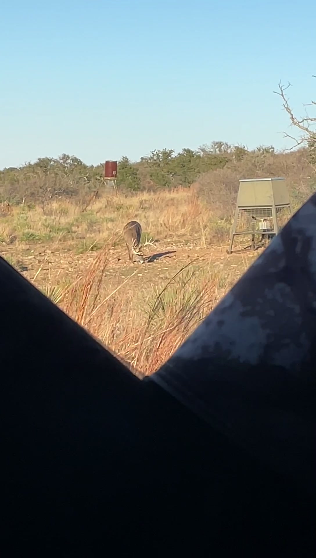 Kothmann Ranch Whitetails | Mason TX