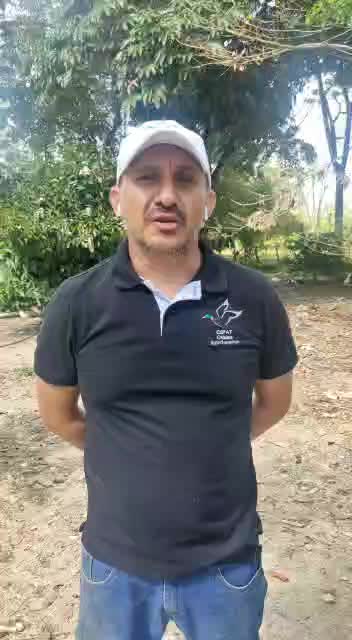 CEPAT Células Embrionarias de Pato | Guamal
