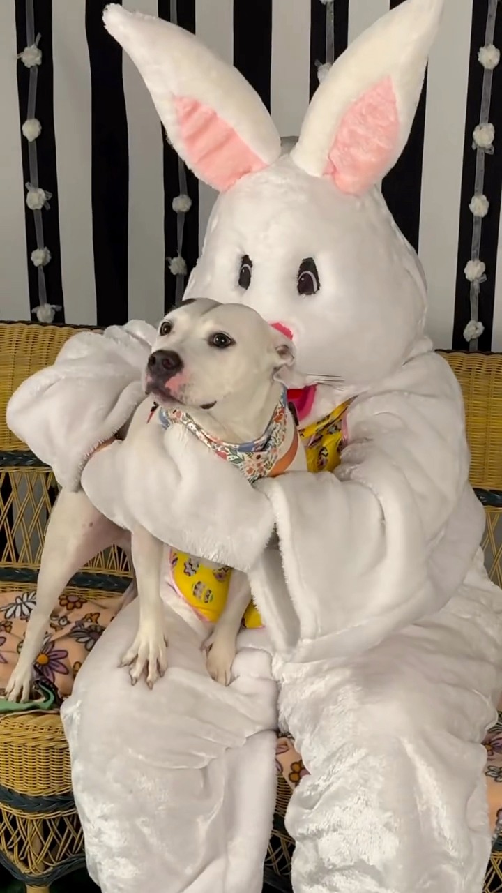 A great day for Easter Bunny... - Live Like Roo Foundation | Facebook