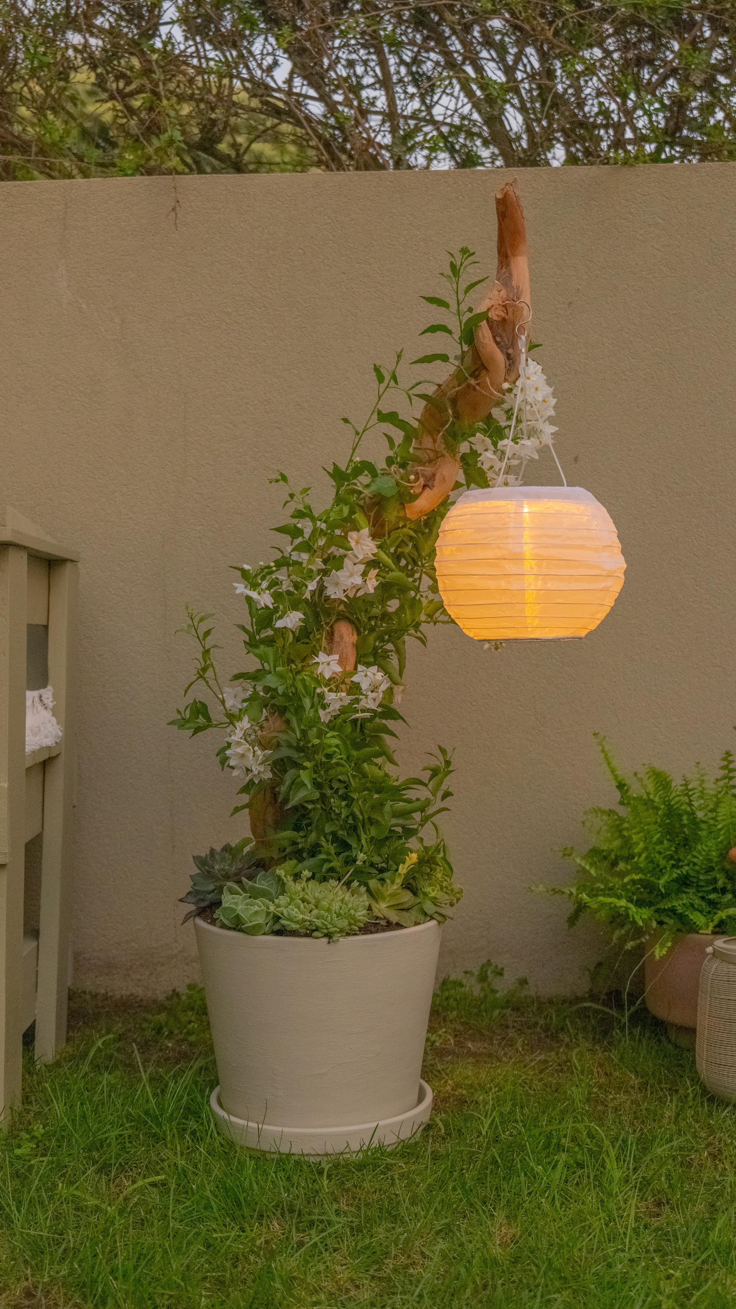 Ikea Hack Outdoor Solar Steh-Lampe mit BRUNSBÄR Topf und SOLVINDEN Lampion 🏮🌸🌿 , Den schönen Treibholz-Ast hat mir mal eine Freundin geschenkt, ich freue mich total, dass er jetzt endlich seine