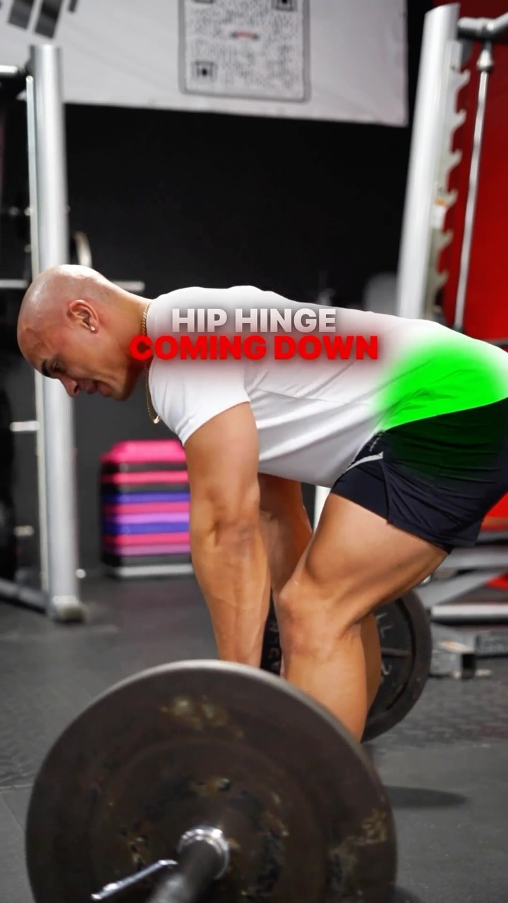 How to Maximize Hamstring Growth with the RDL! The Romanian Deadlift is ...