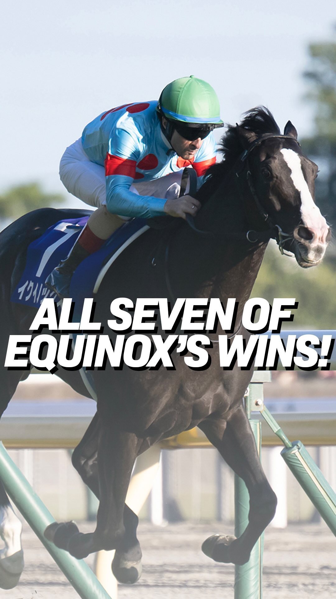 All 7️⃣ career wins from the star that is EQUINOX… ⭐️ #イク