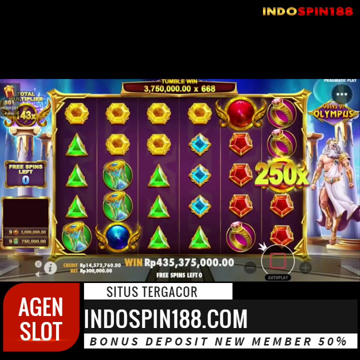 Indospin Mania