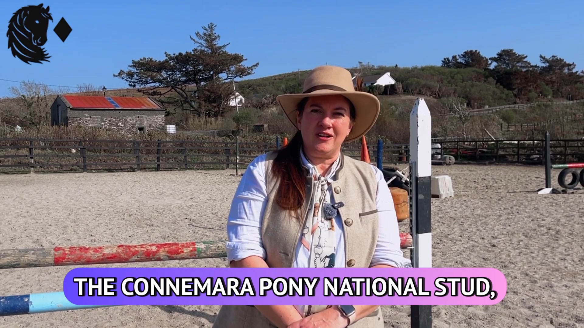 Diamond's Equine Renvyle - The Connemara Pony National Stud | Galway