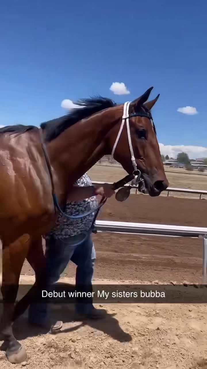 Comforts Jazel in Prairie Meadows 🏇🏇🏇 | Doubletree Farm LLC | Facebook