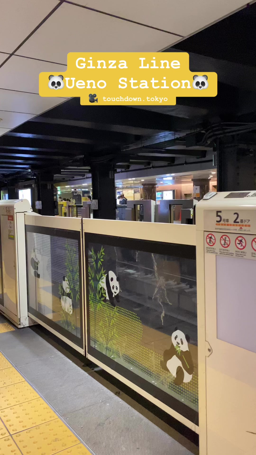 Ueno Station G16 on the Ginza Line 🐼 #Ueno #tokyo #japan
