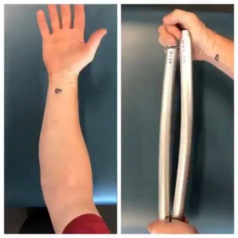 The #forearm is an #outstanding example of #engineering. It has two # ...